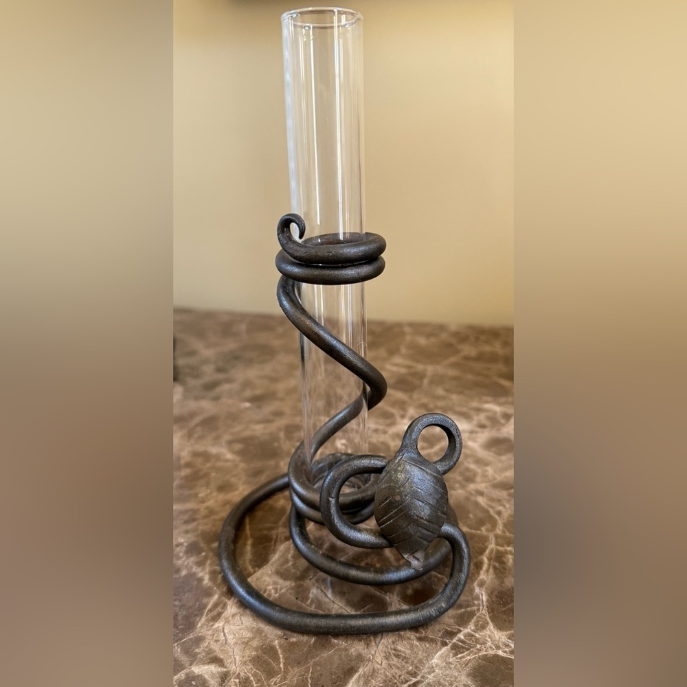Vintage wrought Iron Propagation / Bud Vase